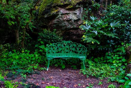 深い森の緑のベンチ 森,森林,緑の写真素材