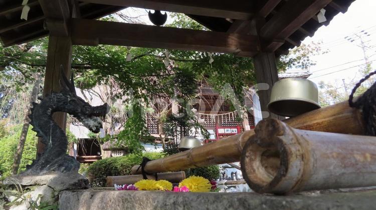 石薬師寺　手水舎と薬師堂 石薬師寺,真言宗,薬師如来の写真素材