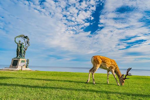 北海道 宗谷丘陵の風景 北海道 宗谷丘陵の風景の写真