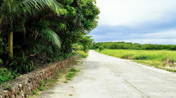 Photo, taketomijima, road, yaeyama islands, 