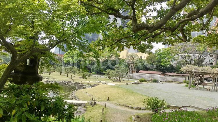 旧芝離宮恩賜庭園より　4月－2 旧芝離宮,恩賜庭園,4月の写真素材