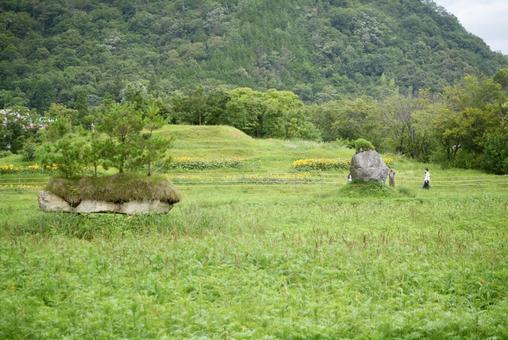 自然の風景 自然の風景の写真