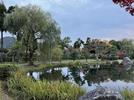秋の夕方　福井県紫式部公園 夕方,夕暮れ,夕雲の写真素材
