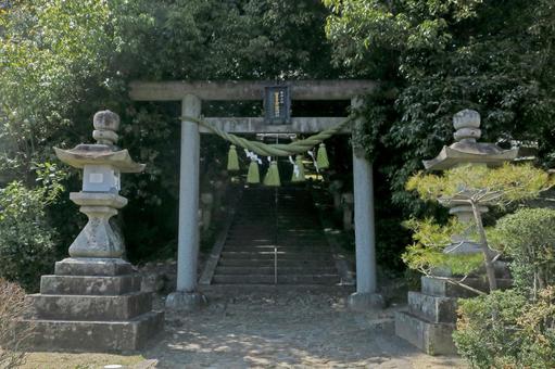 大阪・茨木市 新屋坐天照御魂神社 鳥居 大阪・茨木市 新屋坐天照御魂神社 鳥居の写真