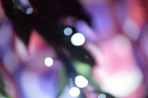 イルミネーション　イメージの写真