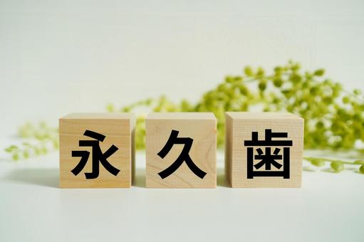 木製ブロックに『永久歯』の文字 永久歯,歯,歯科の写真素材