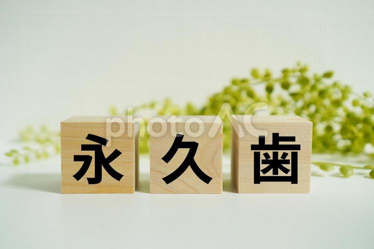 木製ブロックに『永久歯』の文字 永久歯,歯,歯科の写真素材