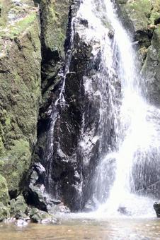 滝 滝,水,落ちるの写真素材