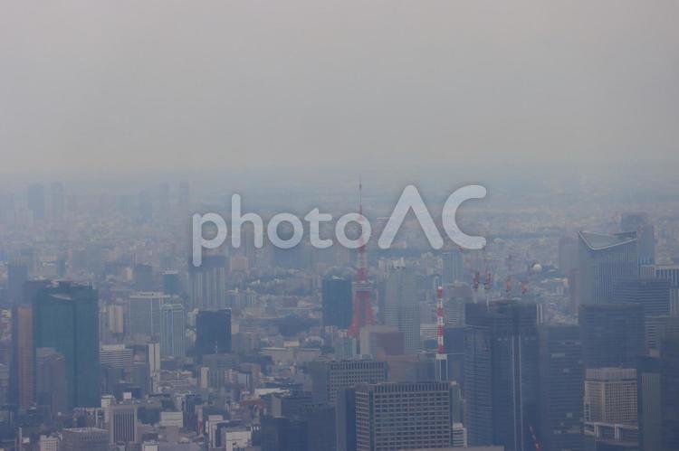 東京の街並みを見下ろす 東京,街並み,スカイツリーの写真素材