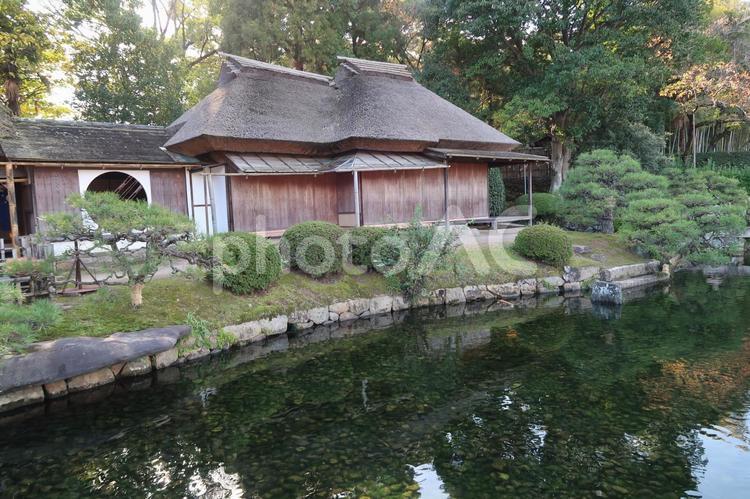 後楽園の敷地内 公園,庭園,武家屋敷の写真素材