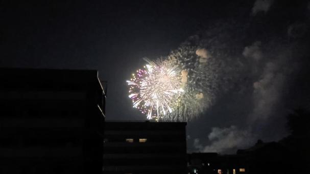 花火 花火の写真