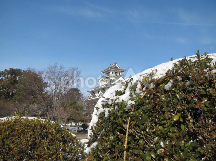 長浜城　薄っすらと雪化粧した天守閣 長浜城,豊臣秀吉,羽柴秀吉の写真素材