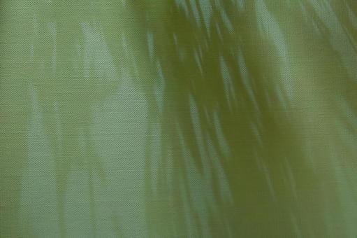 グリーンの背景 背景,素材,グリーンの写真素材