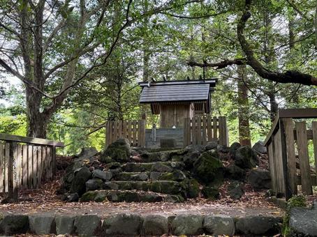 Photo, the imperial family, a shrine, gods emperor, 