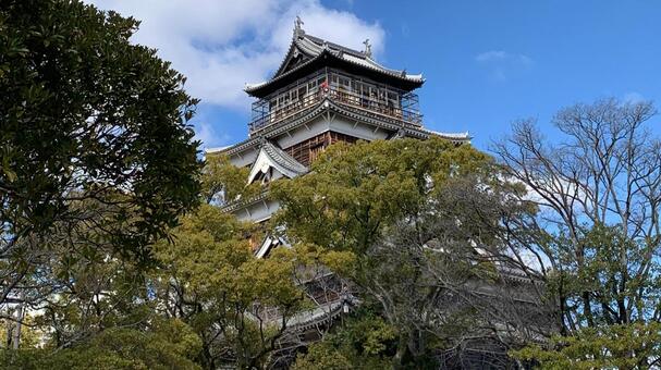 木々の緑と青空に映える広島城天守閣 広島城,天守閣,城の写真素材