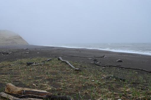 春の根室の海岸 春の根室の海岸 春,北海道,風景の写真素材