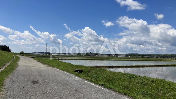 田舎の風景 風景,道,癒やしの写真素材