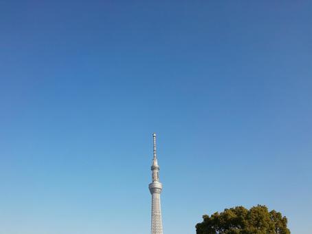 東京スカイツリーと青空 東京スカイツリーと青空の写真