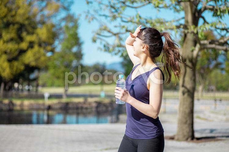 公園でトレーニングする女性（水を飲む） 水分補給,熱中症,脱水症の写真素材