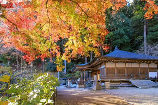 長谷寺 長谷寺,御影堂,ならたびの写真素材