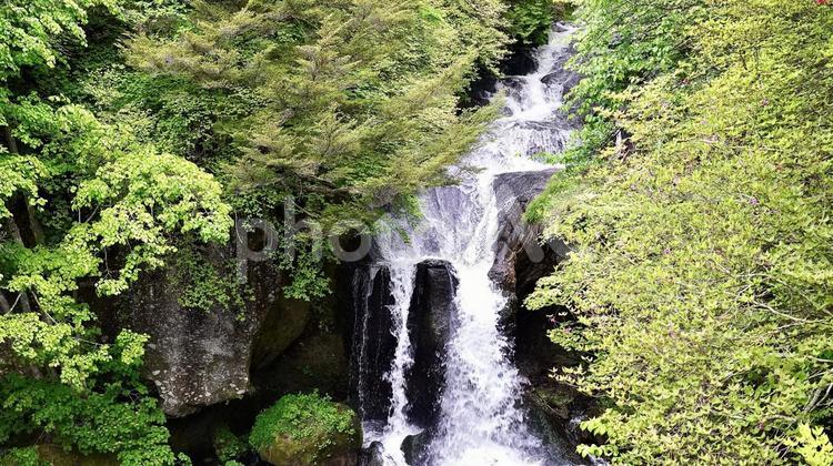 栃木県日光市の竜頭ノ滝 竜頭の滝,滝,新緑の写真素材