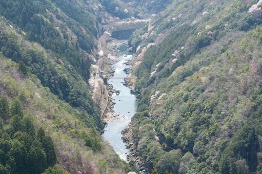 春の保津峡の写真