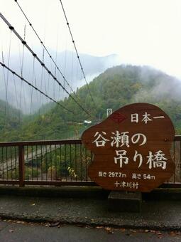 モヤがかった谷瀬の吊り橋 谷瀬,吊り橋,日本一の写真素材