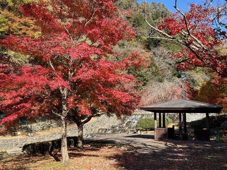 紅葉に囲まれた休憩所 紅葉に囲まれた休憩所 雨情公園,紅葉,休憩所の写真素材