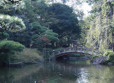 日本庭園 日本庭園の写真