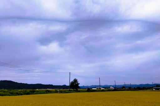 2025年9月の空3 2025年9月の空3 積乱雲,積雲,ガストフロントの写真素材
