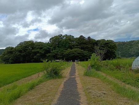 農道01 農道01の写真