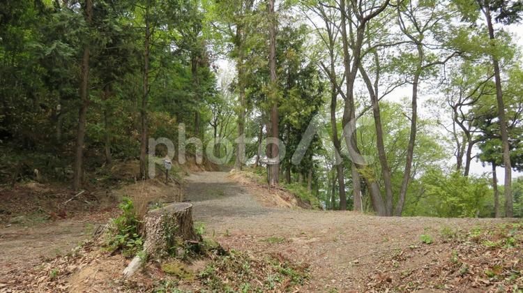 中島城　隣接する丁野山城との連結部 中島城,小谷城の支城,浅井長政の写真素材