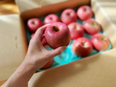 りんごを手に持つ女性　4 リンゴ,りんご,女性の手の写真素材