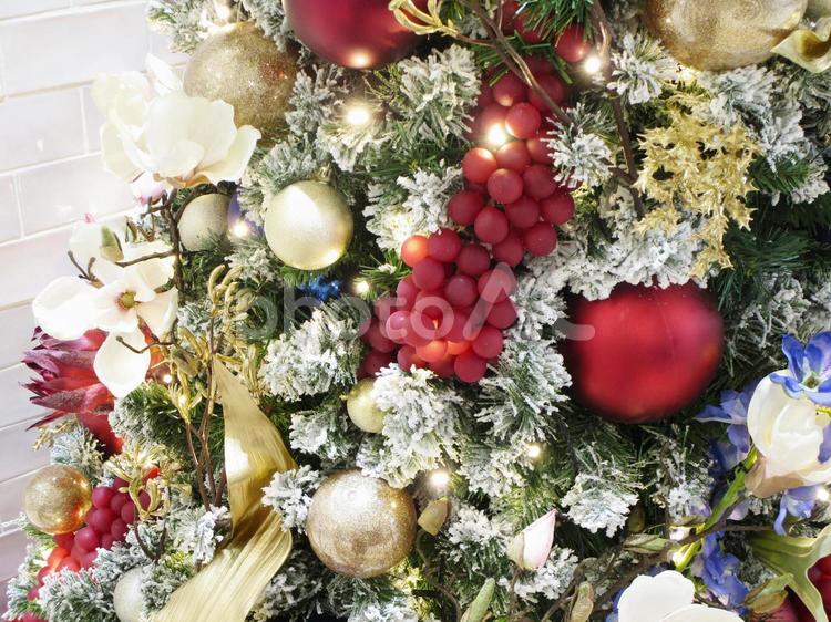 金色と赤のクリスマスツリー　アップ クリスマス,キラキラ,クリスマスツリーの写真素材