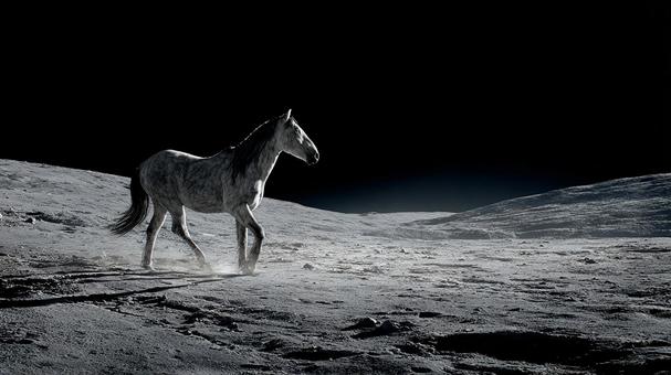 想像力を掻き立てる、馬と宇宙のコンセプト 想像力を掻き立てる、馬と宇宙のコンセプトの写真