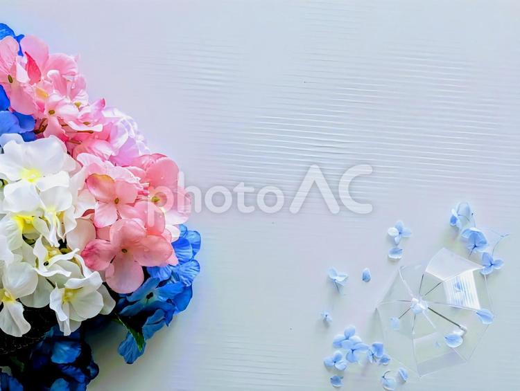 背景素材（紫陽花）梅雨イメージ13 梅雨,梅雨入り,紫陽花の写真素材