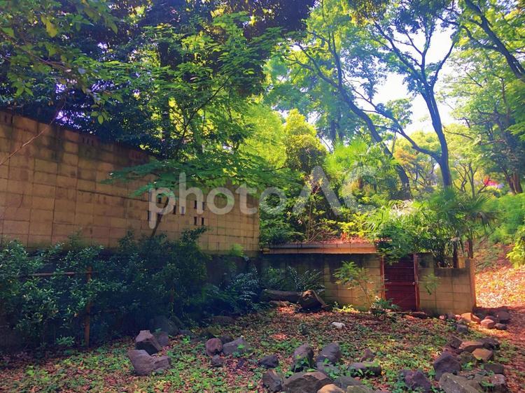 芝公園の散策路 芝公園,散策路,自然の写真素材
