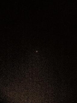 森の中で静かに輝く星 セピア調 森の中で静かに輝く星 セピア調の写真