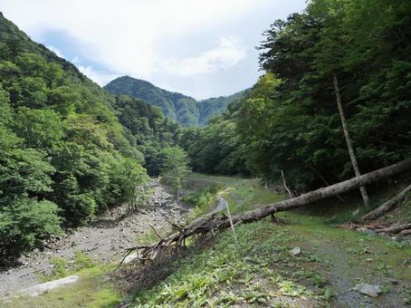 鋸岳登山道 荒れた林道 鋸岳登山道 荒れた林道 鋸岳,林道,北杜市の写真素材