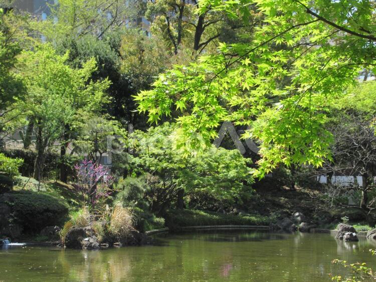 彼我庭園　日本庭園　横浜公園 背景,空,壁紙の写真素材