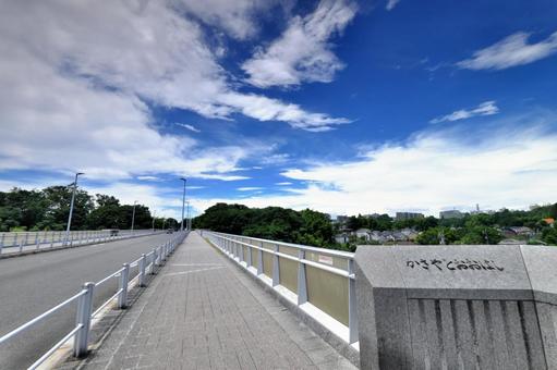 初夏の上谷戸大橋① 初夏の上谷戸大橋①の写真