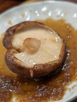 Shiitake mushroom, JPG Shiitake mushroom, JPG