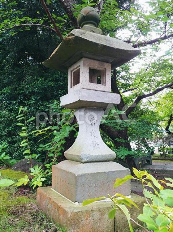 神社の灯篭（神社仏閣） 灯篭,石,日本文化の写真素材