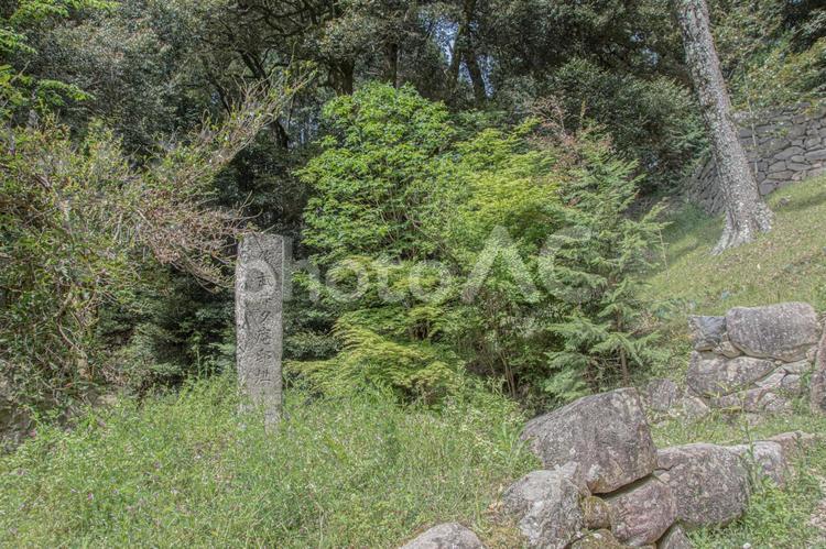 安土城　武井夕庵邸跡 安土城,武井夕庵,石垣の写真素材