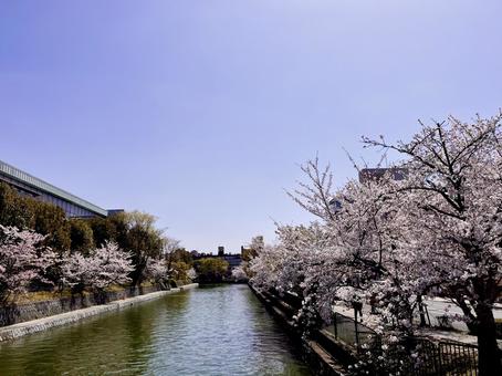 京都 京都の写真