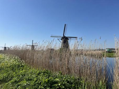 キンデルダイク＝エルスハウトの風車網 キンデルダイク,風車,オランダの写真素材