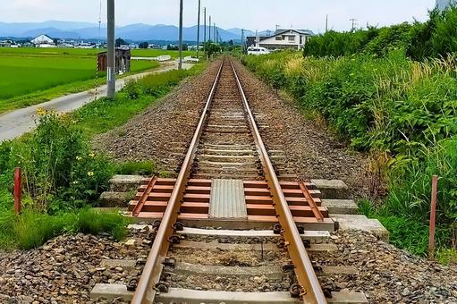 Local Line 5 in July 2025, JPG
