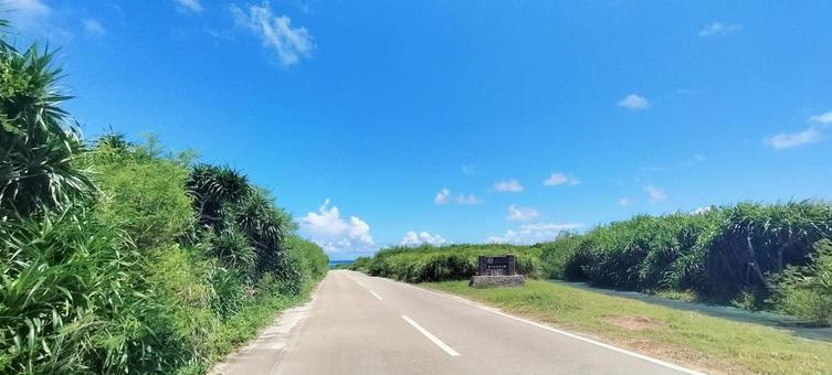 東平安名崎への道 海,リゾート,波の写真素材