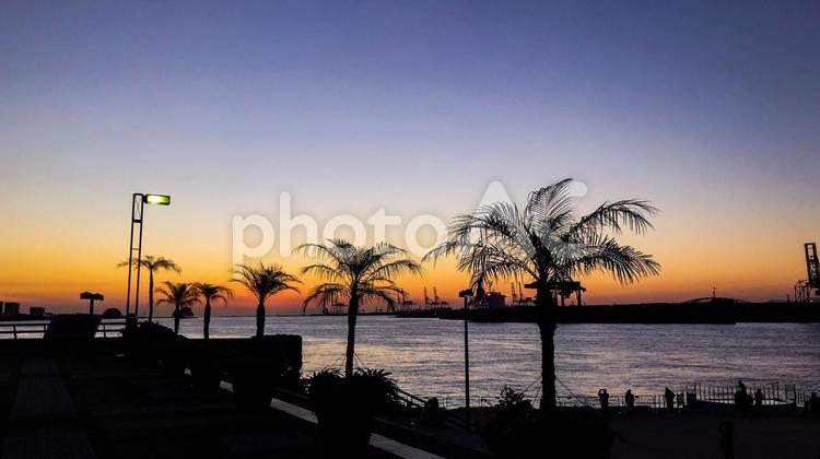 海と夕焼け 夕景,夕焼け,海の写真素材