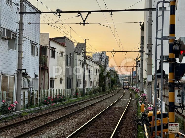 都電荒川線　さくらトラム　三ノ輪橋周辺 さくらトラム,線路,駅の写真素材